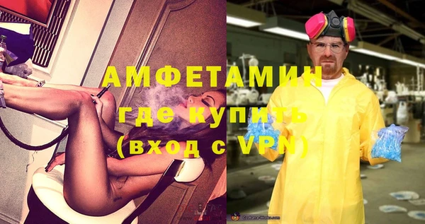 твердый Новозыбков