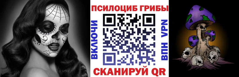 где можно купить   Серафимович  Псилоцибиновые грибы мухоморы 
